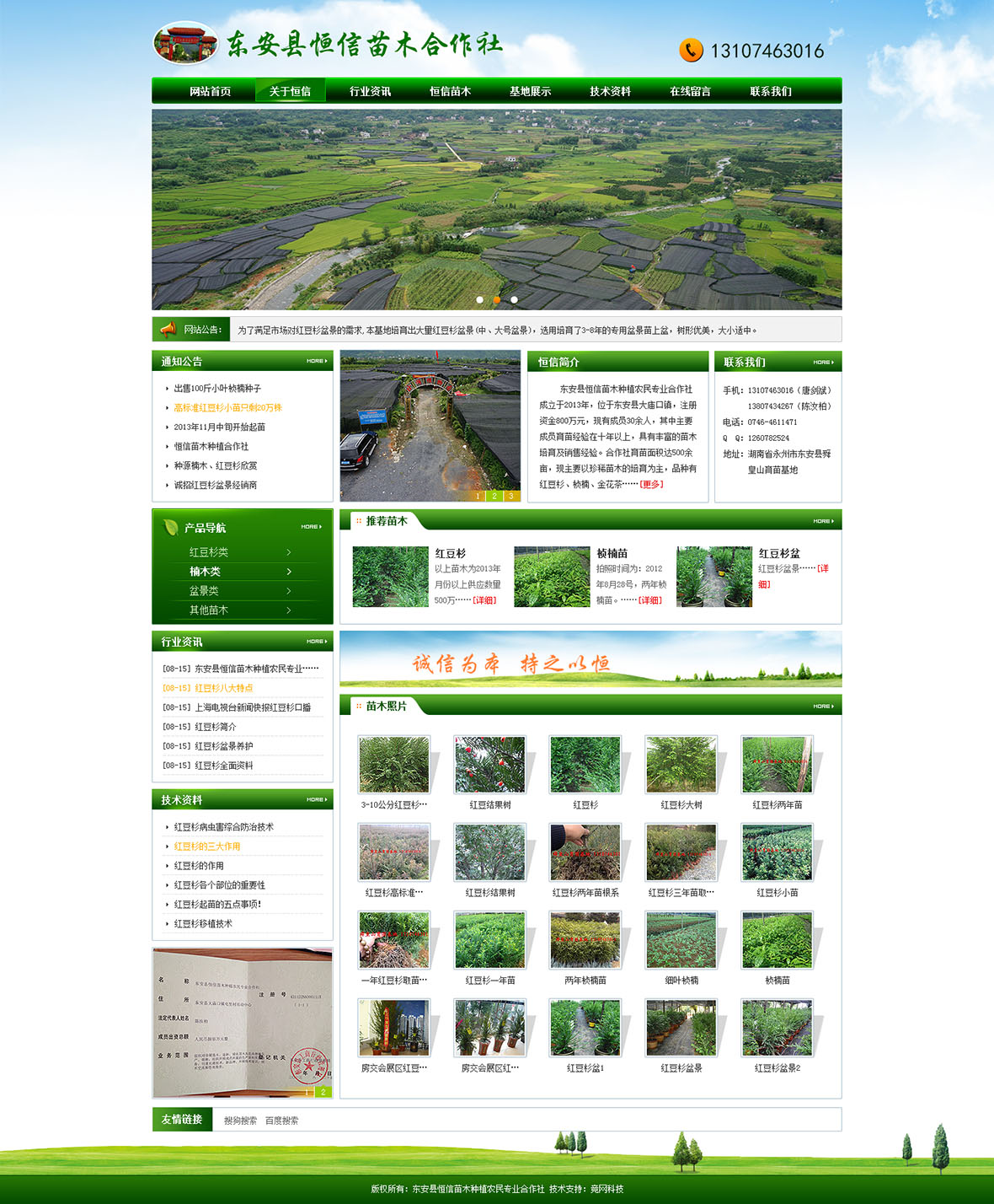 東安縣恒信苗木種植農民專業(yè)合作社 東安縣恒信苗木種植農民專業(yè)合作社