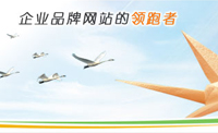 長沙網(wǎng)站建設(shè)網(wǎng)站設(shè)計(jì)成功要素之一
