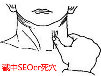 戳中SEOer死穴的網(wǎng)站”崛起之路”