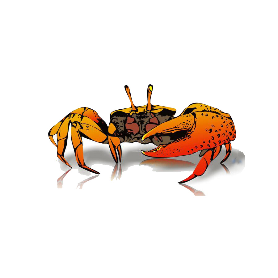 互聯網+養(yǎng)老產業(yè)，競網建站剝蟹有何招？