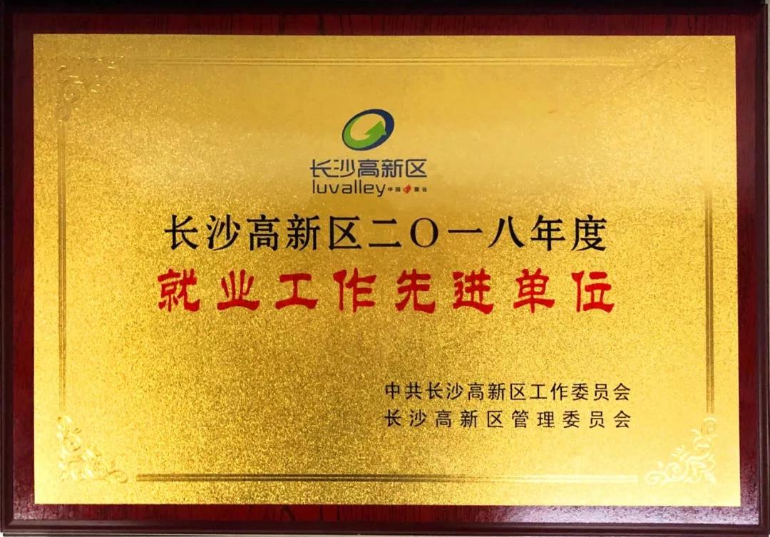 競(jìng)網(wǎng)獲長沙高新區(qū)2018年度“就業(yè)工作先進(jìn)單位”稱號(hào)！